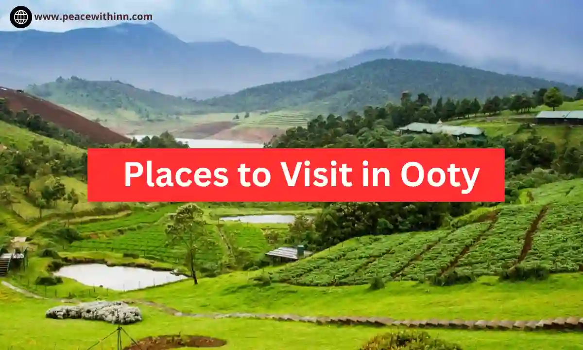 Places to Visit in Ooty