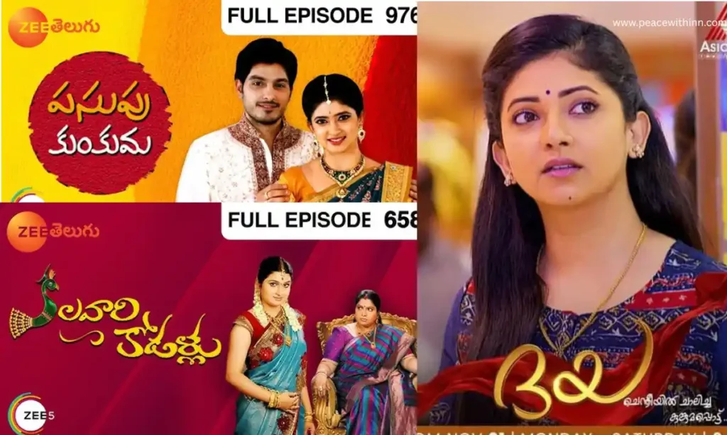 TV Shows With Pallavi Gowda