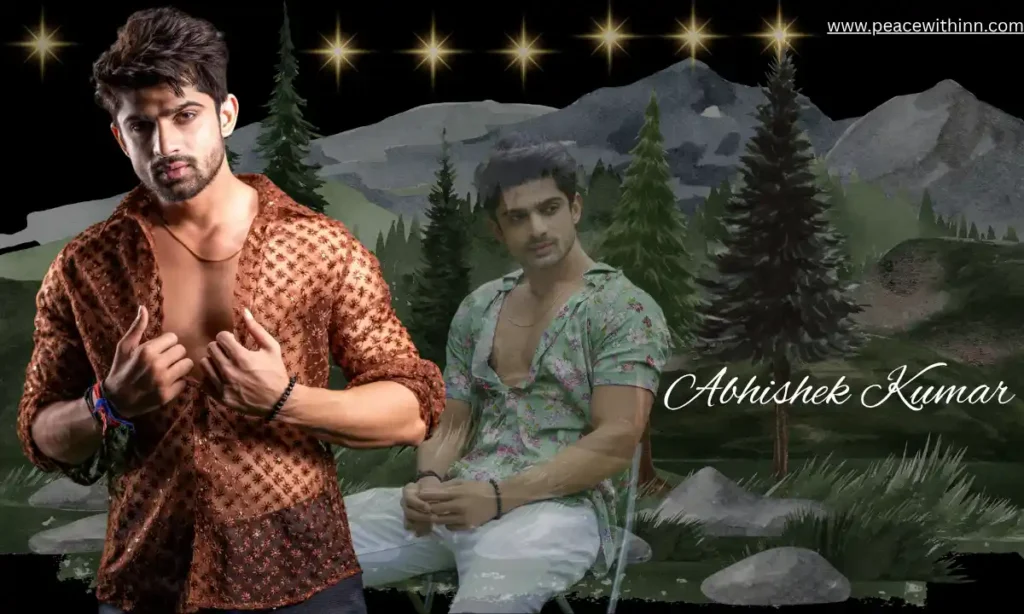 Abhishek Kumar net Worth (2)