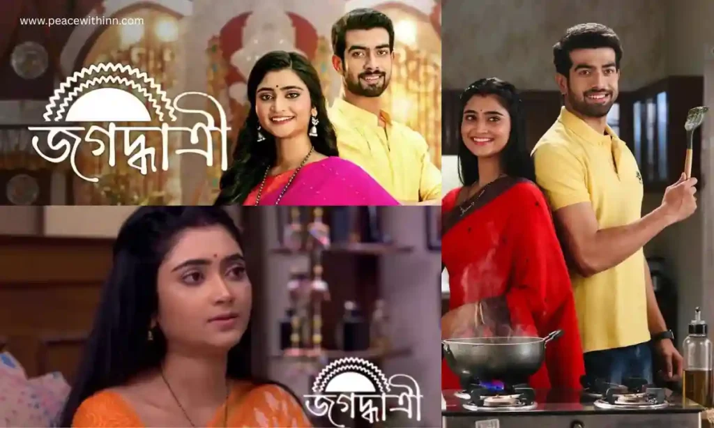 Ankita Mallick TV Shows